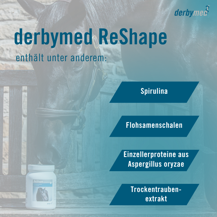 derbymed Reshape
